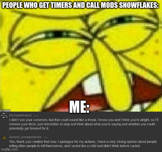 PEOPLE WHO GET TIMERS AND CALL MODS SNOWFLAKES:; ME: | made w/ Imgflip meme maker