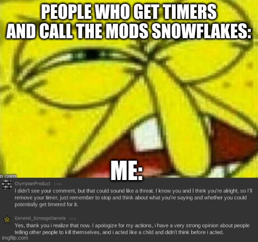 PEOPLE WHO GET TIMERS AND CALL THE MODS SNOWFLAKES:; ME: | made w/ Imgflip meme maker