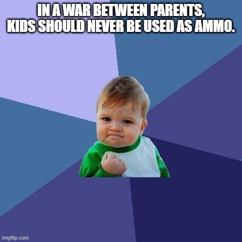 Success Kid Meme | IN A WAR BETWEEN PARENTS, KIDS SHOULD NEVER BE USED AS AMMO. | image tagged in memes,success kid | made w/ Imgflip meme maker