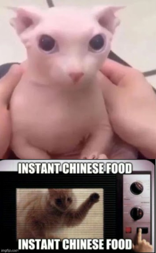 image tagged in instant chinese food | made w/ Imgflip meme maker