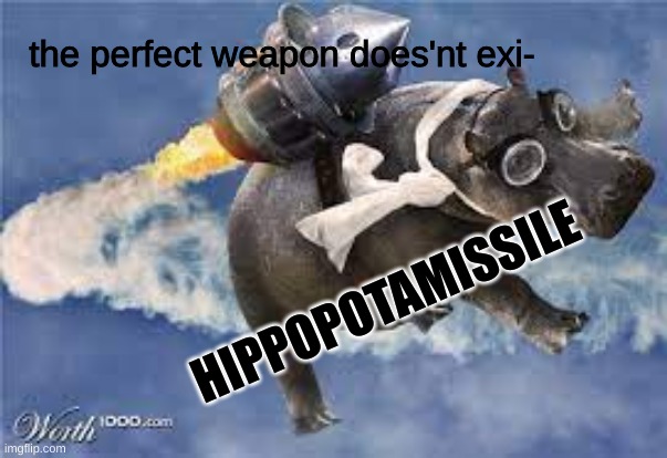 the perfect weapon does'nt exi-; HIPPOPOTAMISSILE | made w/ Imgflip meme maker