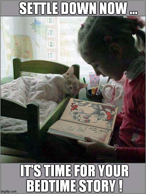 This Cat Loves The Story - But Hates The Ending ! | SETTLE DOWN NOW ... IT'S TIME FOR YOUR
BEDTIME STORY ! | image tagged in cats,bedtime story,the grinch | made w/ Imgflip meme maker