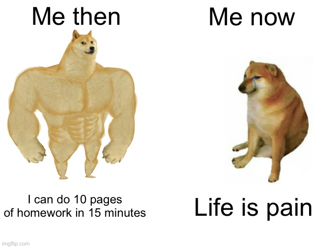 I don’t know what to say here | Me then; Me now; I can do 10 pages of homework in 15 minutes; Life is pain | image tagged in memes,buff doge vs cheems | made w/ Imgflip meme maker