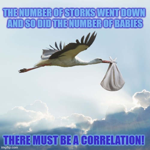 Your conclusion may not be the right one | THE NUMBER OF STORKS WENT DOWN 
AND SO DID THE NUMBER OF BABIES; THERE MUST BE A CORRELATION! | image tagged in fake news,correlation,conclusions,cause and effect | made w/ Imgflip meme maker