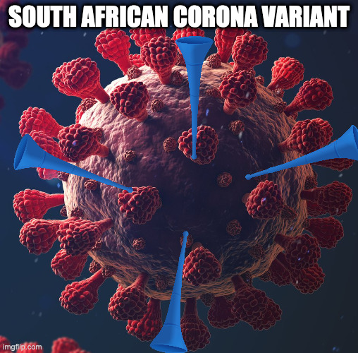 Bbbrrrrr Bbbrrrrr Bbbrrrrr Bbbrrrrr Bbbrrrrr Bbbrrrrr |  SOUTH AFRICAN CORONA VARIANT | image tagged in covid-19,coronavirus,south africa,vuvuzela | made w/ Imgflip meme maker