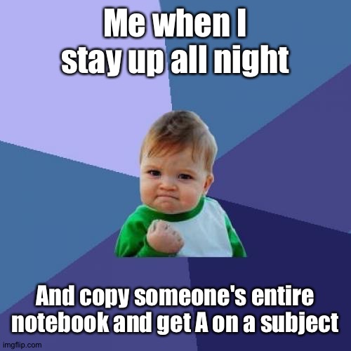 Yes. This is hiw kids graduate school these days | Me when I stay up all night; And copy someone's entire notebook and get A on a subject | image tagged in memes,success kid | made w/ Imgflip meme maker