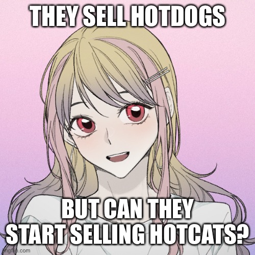 peachytroopa’s new picrew | THEY SELL HOTDOGS; BUT CAN THEY START SELLING HOTCATS? | image tagged in peachytroopa s new picrew | made w/ Imgflip meme maker