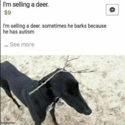 Deer | made w/ Imgflip meme maker