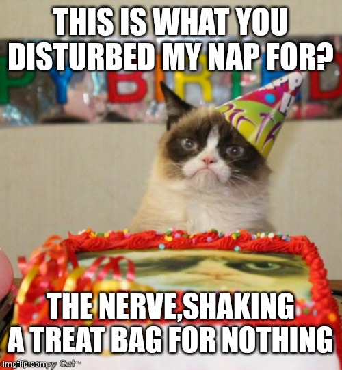 Grumpy Cat Birthday | THIS IS WHAT YOU DISTURBED MY NAP FOR? THE NERVE,SHAKING A TREAT BAG FOR NOTHING | image tagged in memes,grumpy cat birthday,grumpy cat | made w/ Imgflip meme maker