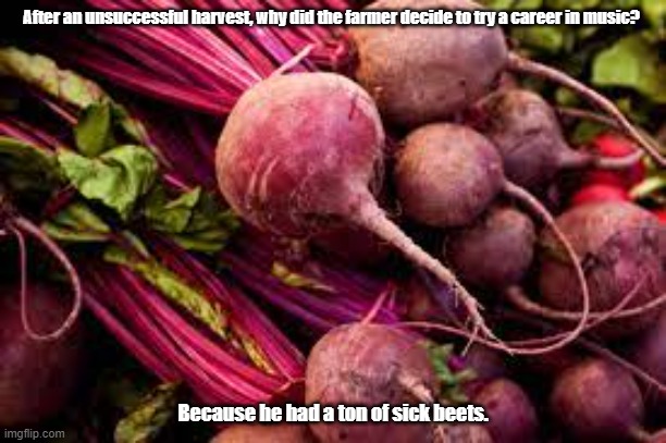 Dad Joke of The Day! | After an unsuccessful harvest, why did the farmer decide to try a career in music? Because he had a ton of sick beets. | image tagged in unsuccessful farmer,music career,sick beets | made w/ Imgflip meme maker
