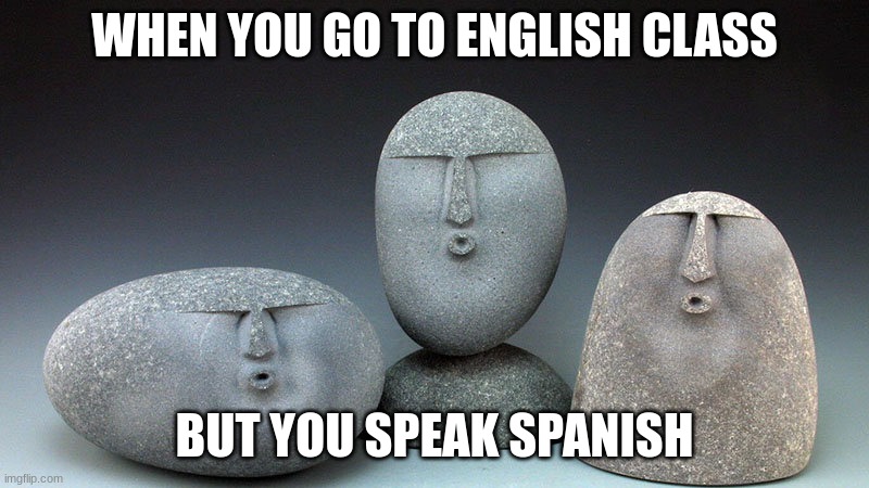 MEGA OOF | WHEN YOU GO TO ENGLISH CLASS; BUT YOU SPEAK SPANISH | image tagged in oof stones | made w/ Imgflip meme maker