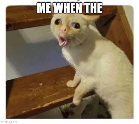 Coughing Cat | ME WHEN THE | image tagged in coughing cat | made w/ Imgflip meme maker