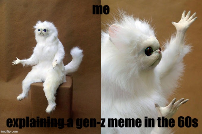 haha yes | me; explaining a gen-z meme in the 60s | image tagged in memes,persian cat room guardian,oh wow are you actually reading these tags,dude wtf,stop reading the tags,i said stop | made w/ Imgflip meme maker