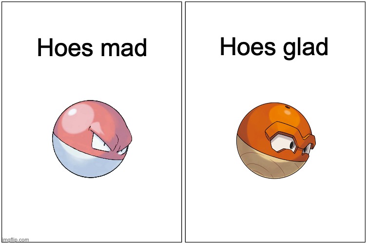 Kantonian vs. Hisuian Voltorb | Hoes glad; Hoes mad | image tagged in memes,blank comic panel 1x2 | made w/ Imgflip meme maker