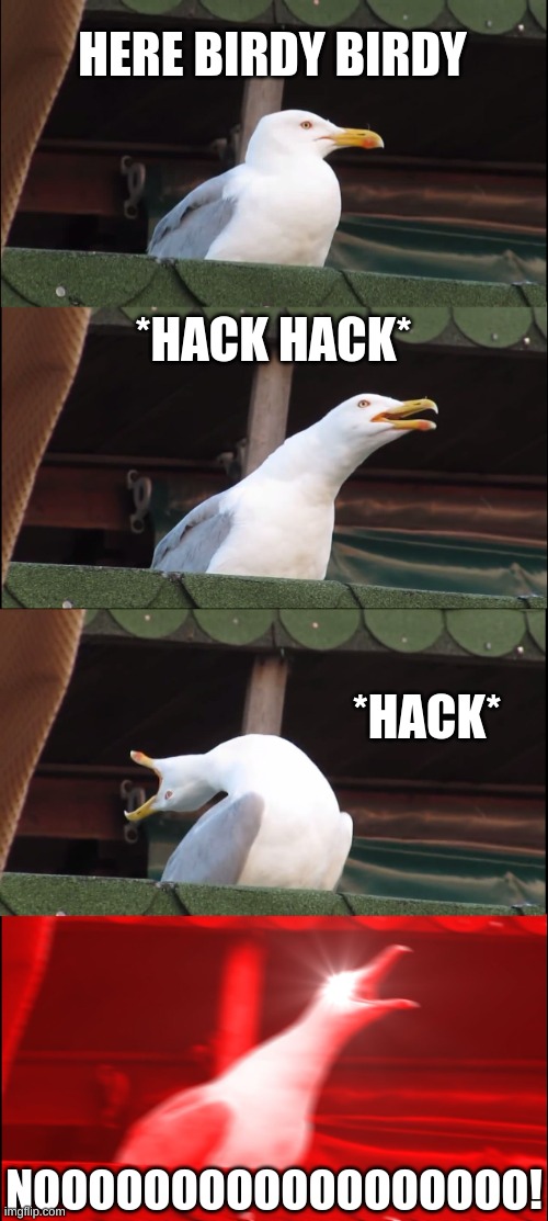 Inhaling Seagull | HERE BIRDY BIRDY; *HACK HACK*; *HACK*; NOOOOOOOOOOOOOOOOOO! | image tagged in memes,inhaling seagull | made w/ Imgflip meme maker