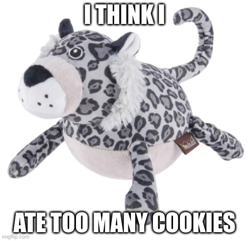 too many cookies | I THINK I; ATE TOO MANY COOKIES | image tagged in im fat,sad but true | made w/ Imgflip meme maker