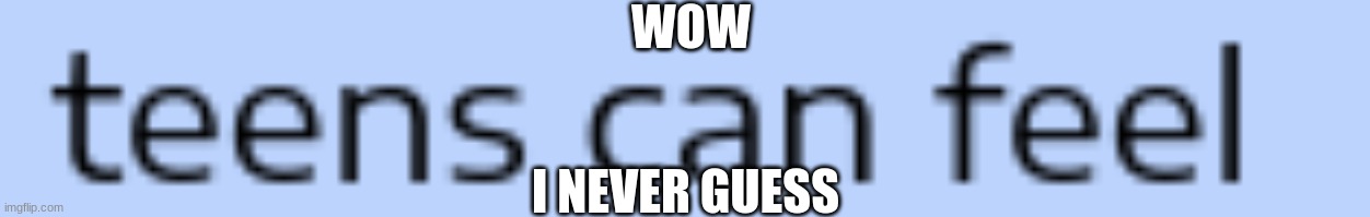 WOW; I NEVER GUESS | image tagged in e | made w/ Imgflip meme maker