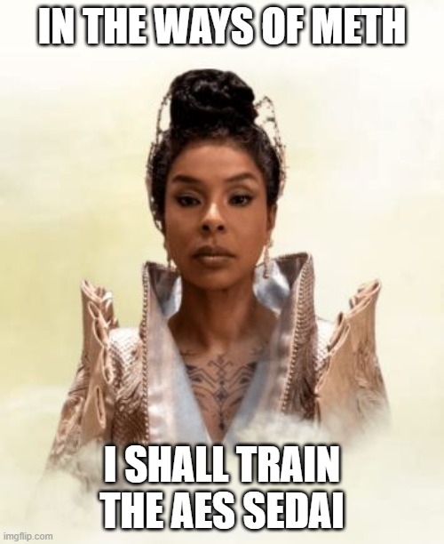 SIUAN METH | IN THE WAYS OF METH; I SHALL TRAIN THE AES SEDAI | image tagged in wot,meth,siuan,aessedai | made w/ Imgflip meme maker
