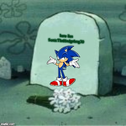 Here Lies X | here lies SonicTheHedgehog30 | image tagged in here lies x | made w/ Imgflip meme maker