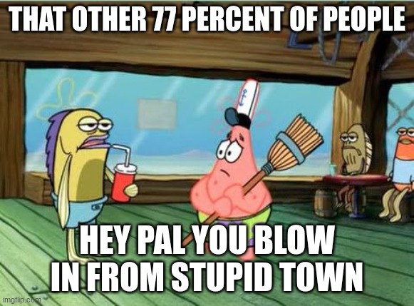 Hey pal. | THAT OTHER 77 PERCENT OF PEOPLE HEY PAL YOU BLOW IN FROM STUPID TOWN | image tagged in hey pal | made w/ Imgflip meme maker