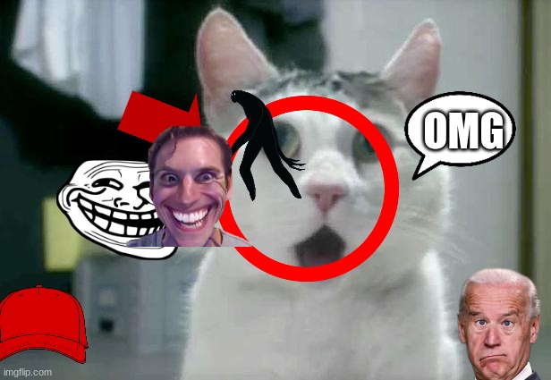 OMG Cat | OMG | image tagged in memes,omg cat | made w/ Imgflip meme maker