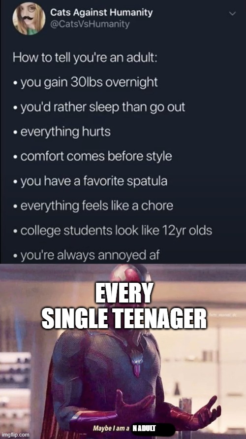 relatable | EVERY SINGLE TEENAGER; N ADULT | image tagged in maybe i am a monster blank | made w/ Imgflip meme maker