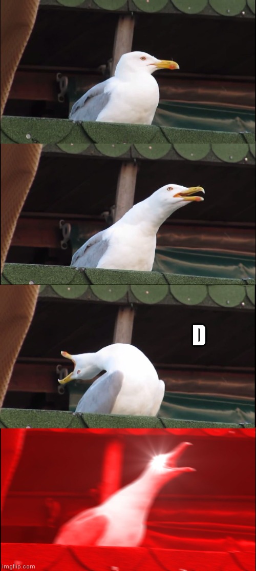 Inhaling Seagull | D | image tagged in memes,inhaling seagull | made w/ Imgflip meme maker