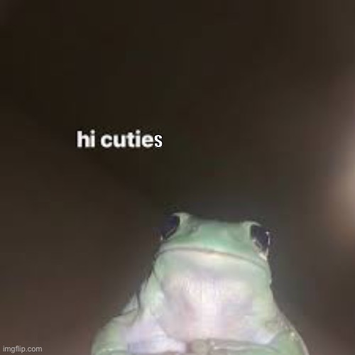 Welcome frog lovers! | s | image tagged in frog,frogs,frog week | made w/ Imgflip meme maker