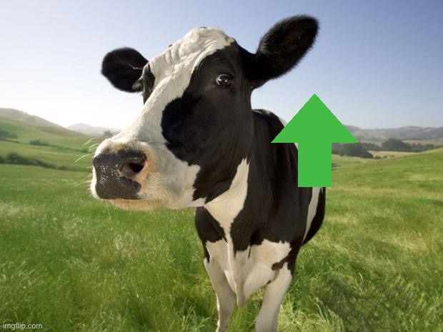 cow | image tagged in cow | made w/ Imgflip meme maker