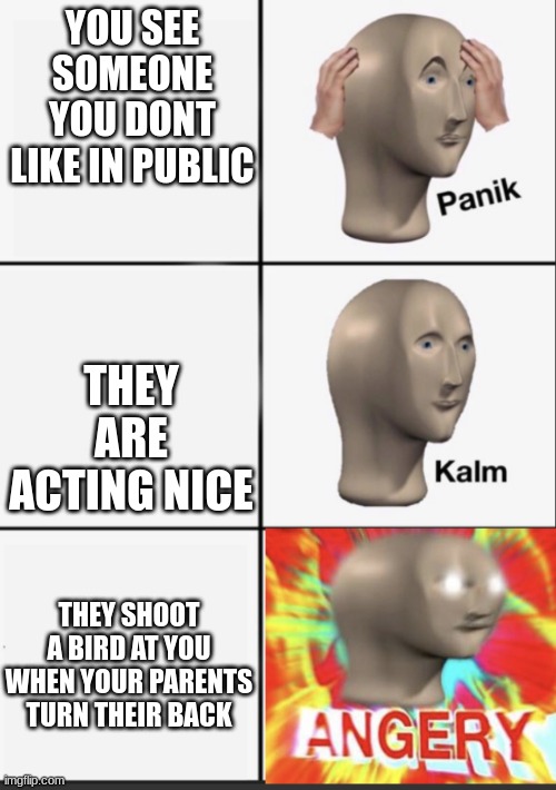 Hi | YOU SEE SOMEONE YOU DONT LIKE IN PUBLIC; THEY ARE ACTING NICE; THEY SHOOT A BIRD AT YOU WHEN YOUR PARENTS TURN THEIR BACK | image tagged in panik kalm angery | made w/ Imgflip meme maker