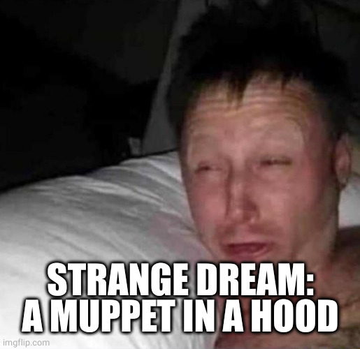 Sleepy guy | STRANGE DREAM: A MUPPET IN A HOOD | image tagged in sleepy guy | made w/ Imgflip meme maker