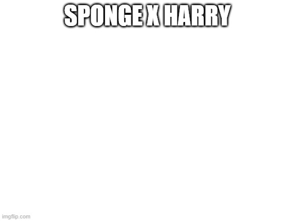 lol | SPONGE X HARRY | image tagged in blank white template | made w/ Imgflip meme maker