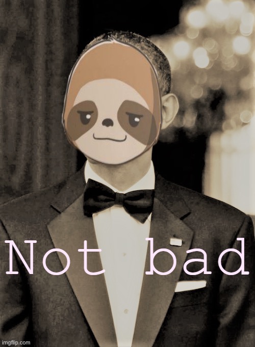 Sloth not bad | image tagged in sloth not bad | made w/ Imgflip meme maker