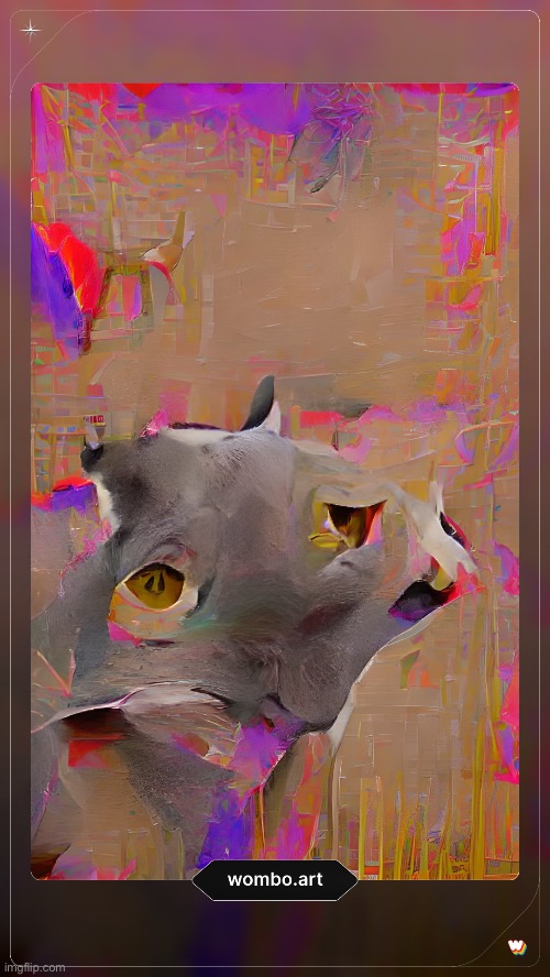 cæt | made w/ Imgflip meme maker