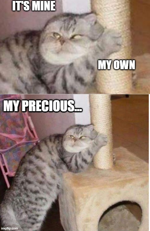 DONT TOUCH THE KITTIES PRECIOUS | IT'S MINE; MY OWN; MY PRECIOUS... | image tagged in cats,funny cats,lotr,lord of the rings | made w/ Imgflip meme maker