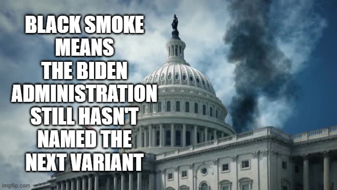 BLACK SMOKE
MEANS
THE BIDEN
ADMINISTRATION
STILL HASN'T
NAMED THE
NEXT VARIANT | image tagged in vatican,pope,capitol building,joe biden,covid-19,variant | made w/ Imgflip meme maker