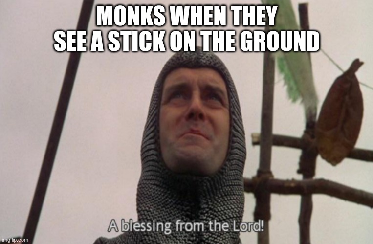 A blessing from the lord | MONKS WHEN THEY SEE A STICK ON THE GROUND | image tagged in a blessing from the lord | made w/ Imgflip meme maker