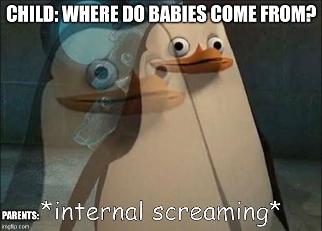 Private Internal Screaming | CHILD: WHERE DO BABIES COME FROM? PARENTS: | image tagged in private internal screaming | made w/ Imgflip meme maker