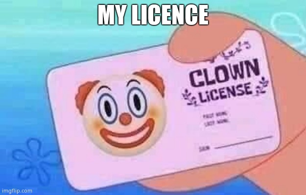 Clown License | MY LICENCE | image tagged in clown license | made w/ Imgflip meme maker