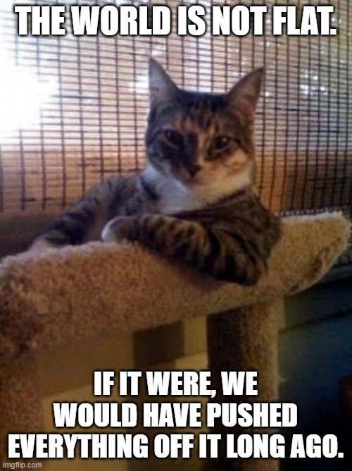 The Most Interesting Cat In The World Meme | THE WORLD IS NOT FLAT. IF IT WERE, WE WOULD HAVE PUSHED EVERYTHING OFF IT LONG AGO. | image tagged in memes,the most interesting cat in the world | made w/ Imgflip meme maker