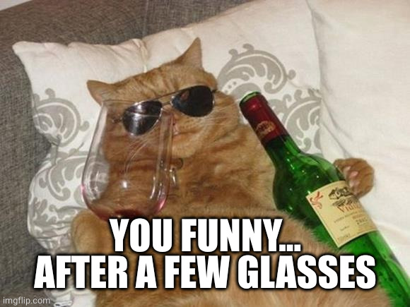 Funny Cat Birthday | YOU FUNNY...
AFTER A FEW GLASSES | image tagged in funny cat birthday | made w/ Imgflip meme maker