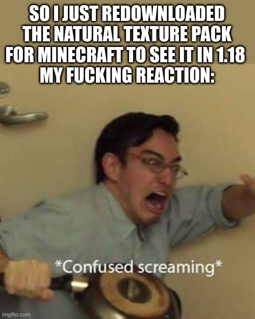 AAAAAAAAAAAAAAAAAAAAAAAAA- | SO I JUST REDOWNLOADED THE NATURAL TEXTURE PACK FOR MINECRAFT TO SEE IT IN 1.18 
MY FUCKING REACTION: | image tagged in confused screaming | made w/ Imgflip meme maker