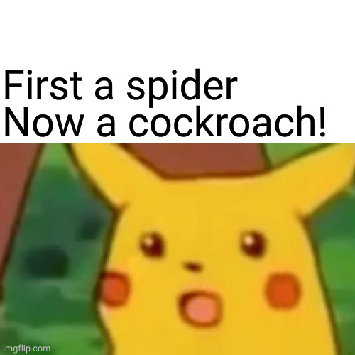 Surprised Pikachu Meme | First a spider
Now a cockroach! | image tagged in memes,surprised pikachu | made w/ Imgflip meme maker