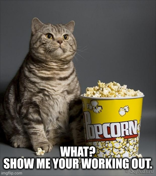 Cat eating popcorn | WHAT?
SHOW ME YOUR WORKING OUT. | image tagged in cat eating popcorn | made w/ Imgflip meme maker