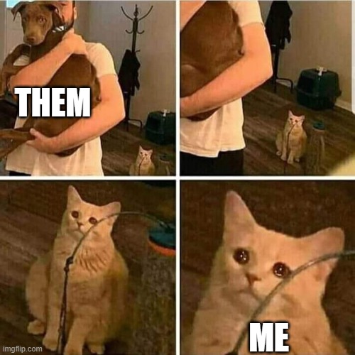 Sad Cat Holding Dog | THEM ME | image tagged in sad cat holding dog | made w/ Imgflip meme maker