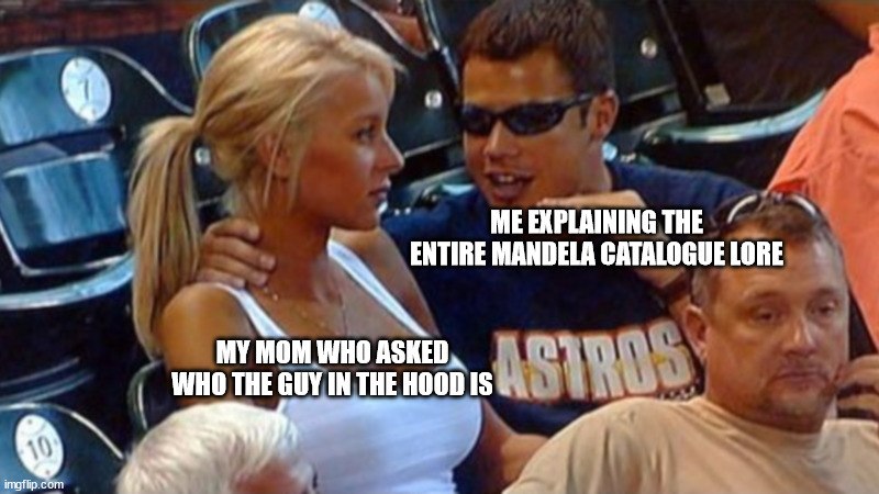 Bro explaining | ME EXPLAINING THE ENTIRE MANDELA CATALOGUE LORE; MY MOM WHO ASKED WHO THE GUY IN THE HOOD IS | image tagged in bro explaining | made w/ Imgflip meme maker