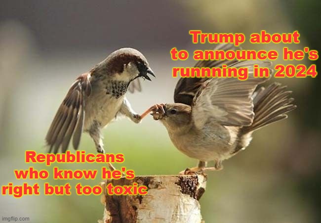 Well Yes, But Actually No | Trump about to announce he's runnning in 2024; Republicans who know he's right but too toxic | image tagged in birds shut up,trump,well yes but actually no | made w/ Imgflip meme maker