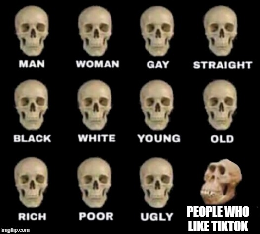 idiot skull | PEOPLE WHO LIKE TIKTOK | image tagged in idiot skull | made w/ Imgflip meme maker