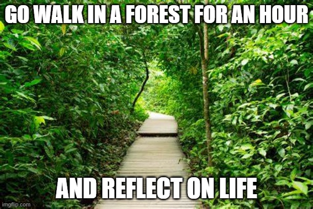 GO WALK IN A FOREST FOR AN HOUR; AND REFLECT ON LIFE | made w/ Imgflip meme maker