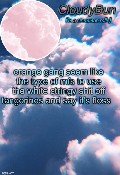 CloudyBun template | orange gang seem like the type of mfs to use the white stringy shit off tangerines and say it’s floss | image tagged in cloudybun template | made w/ Imgflip meme maker